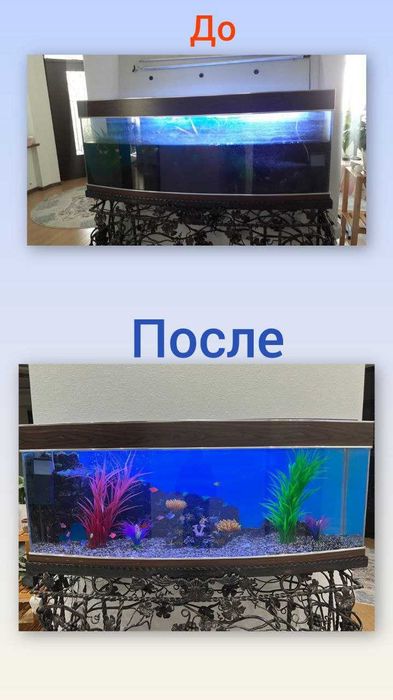 Профессиональная чистка аквариума AQUALlFE