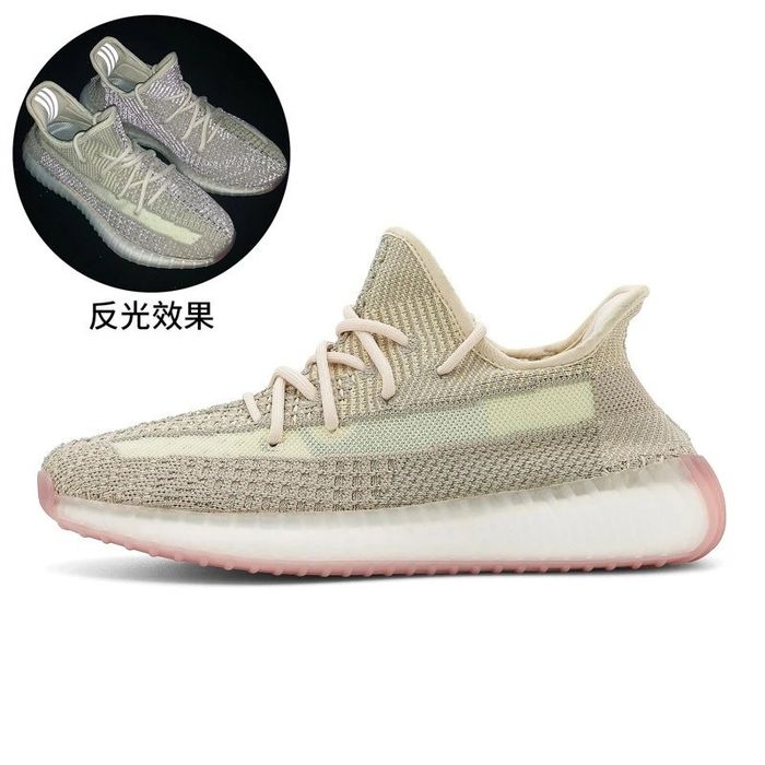 Adidas yeezy boost 350 v2