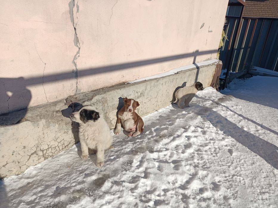 СРОЧНО!!! Срочно!