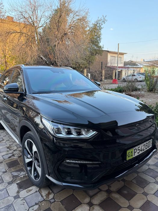 Byd song plus flagship full