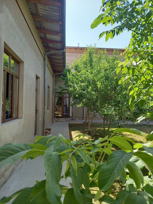 Ховли сотилади Карши шахар А.Навоий махалласи Устозлар кучаси