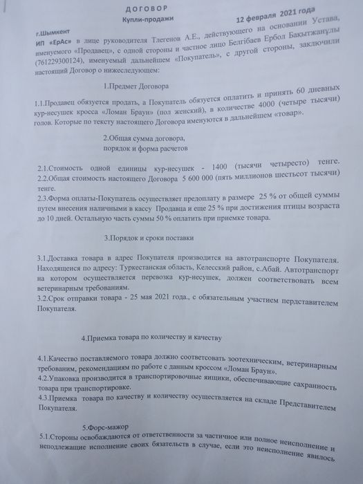 Куры Несушка Коралл