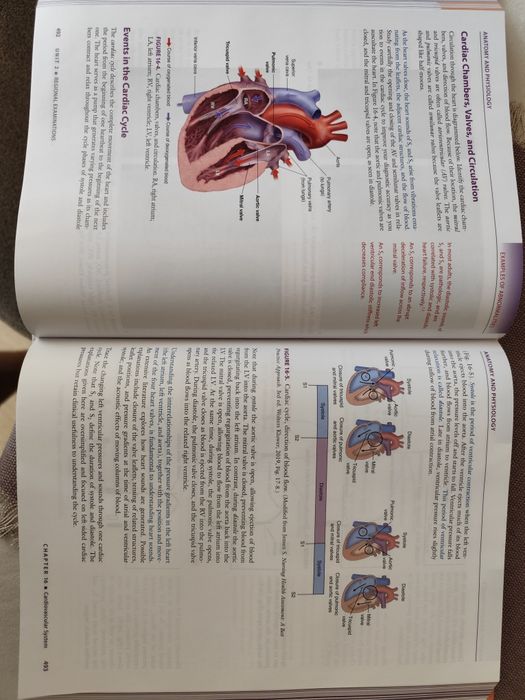 Пропедевтика на вътрешни болести, Physical examination