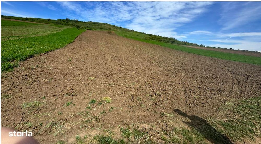 Vand Teren Extravilan, 6200mp, Zona Gusterita Sibiu