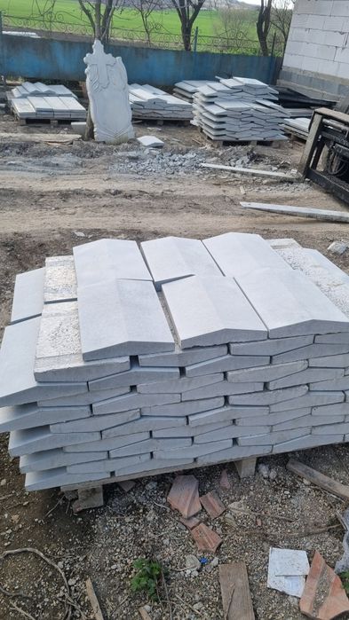 Capace de gard/coame gard