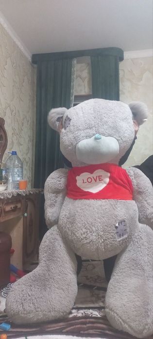 Teddi kottasi yengimas