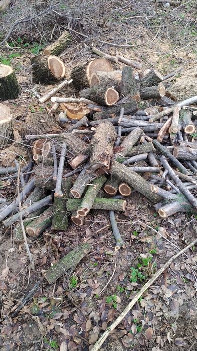 Дрова карагач ..