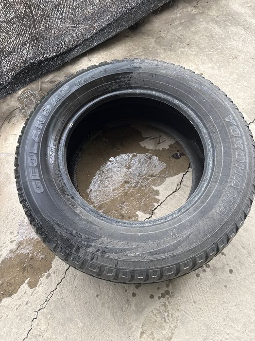 Шина 1 шт хороши состояние