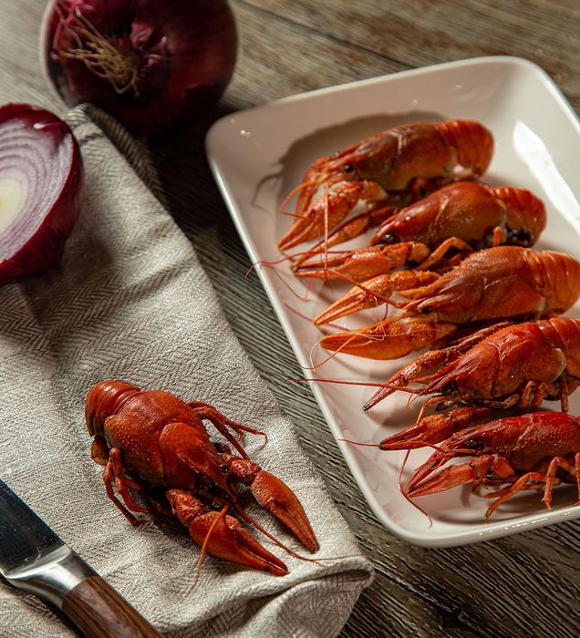 Большие и гигантские раки