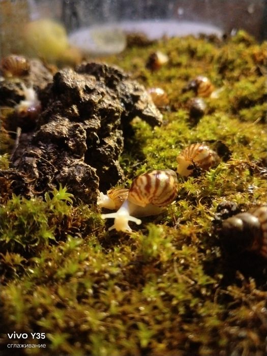 Читать внимательно !!  Очень внимательно!!!