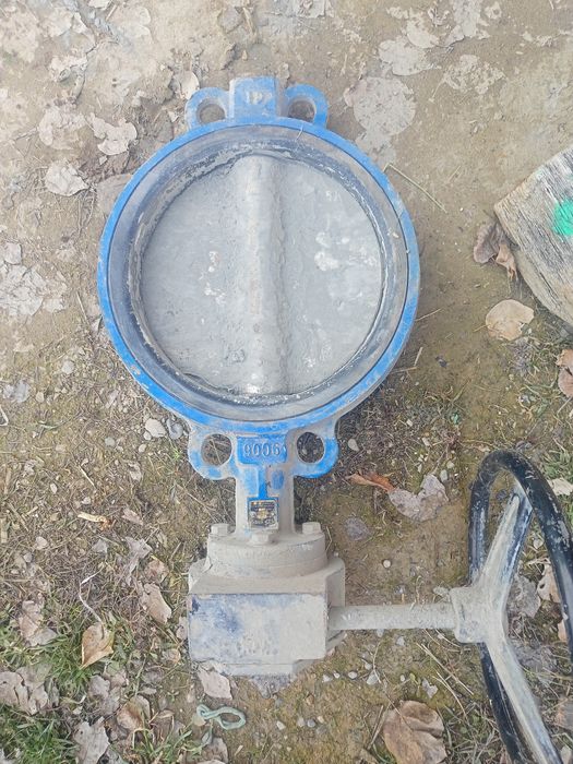 Затвор дисковый Dn250