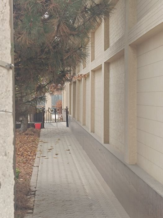 Ohunboboyv zamona tu'yhona orqasi 5 sotu