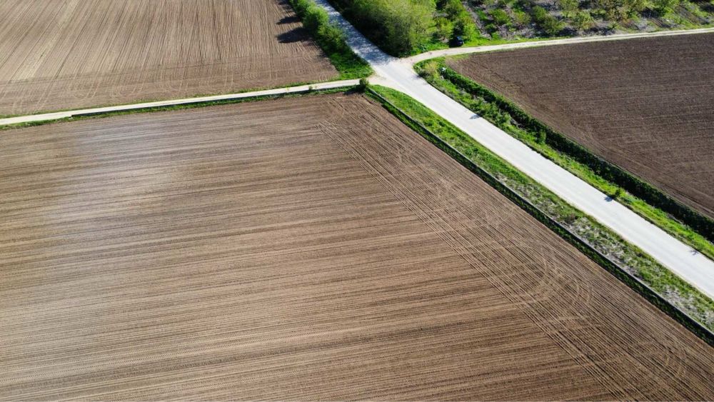 Продава се Парцел в с. Цалапица, Област Пловдив - 33600 кв.м за 0 €/кв.м - Снимка #3