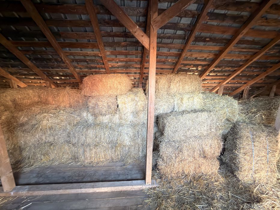 Vand baloti de lucerna