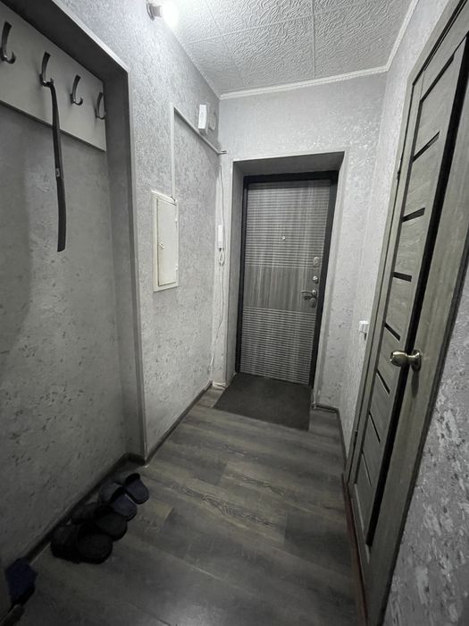 1,5 посут Люкс Дворец спорта