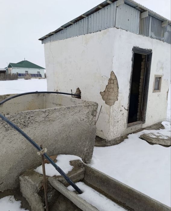 Фазенда сатылады