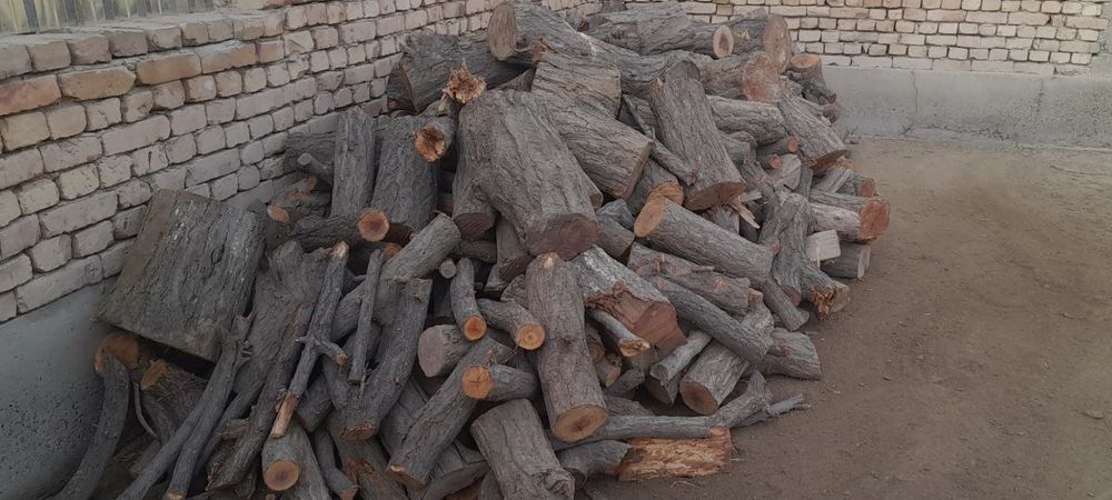 У́рик у́тинлари келишилган нархда сотилади