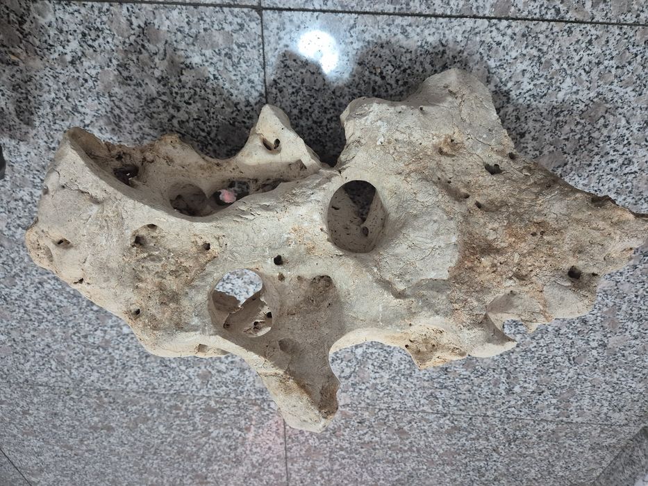 Piatra decorativa acvariu