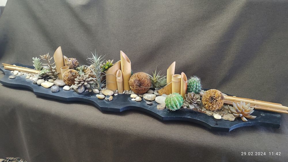 Зеленый сад фитостена