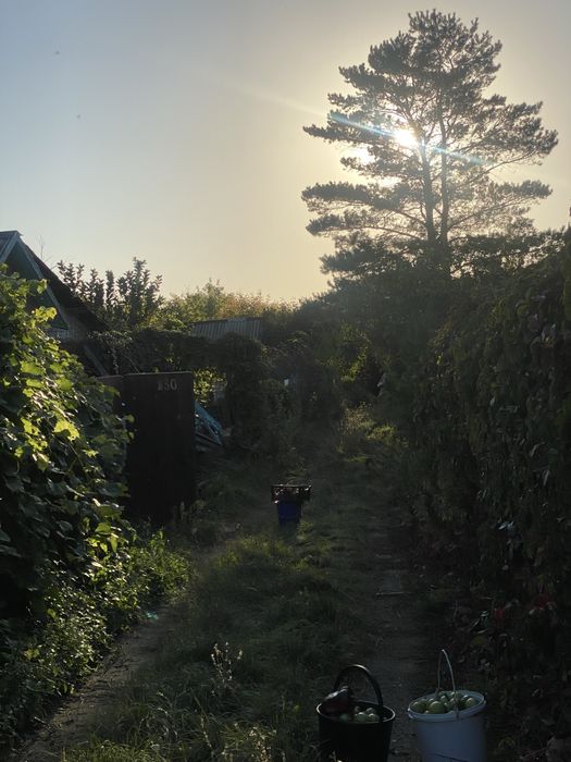 Дача в 1 обществе