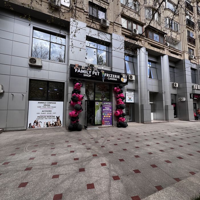 Afacere la cheie de vânzare – pet shop, grooming și punct farmaceutic veterinar – București, Sector 3