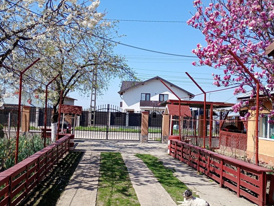 2 corpuri de casa în aceeași curte in Brătășanca