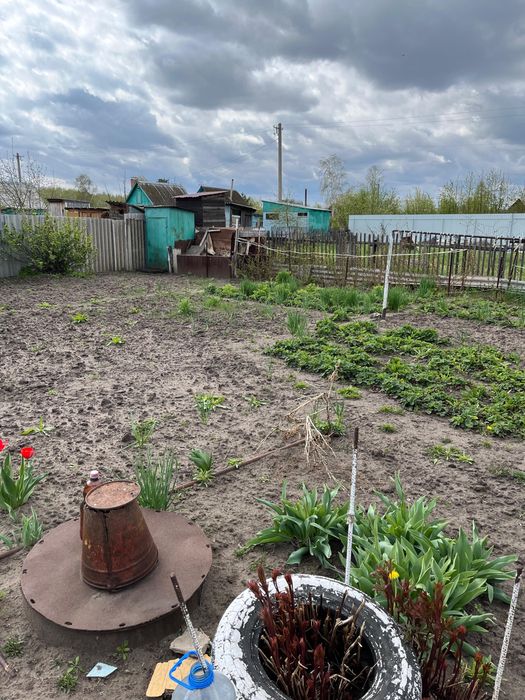 СРОЧНО Продам Дачу, на Белом ,сад.общество Сансевьера