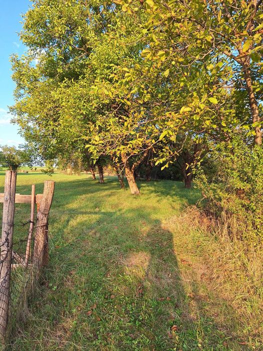 Teren cu casa si anexe - centru comuna, acte in regula