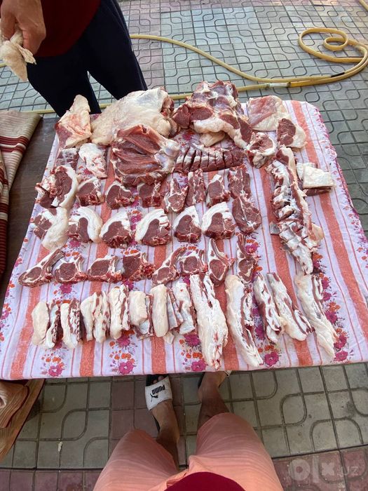 Курбонлик га куй кузилар касоблик хизмати