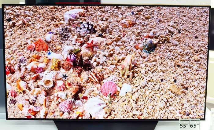 Телевизор LG 55 OLED 120ghz B2