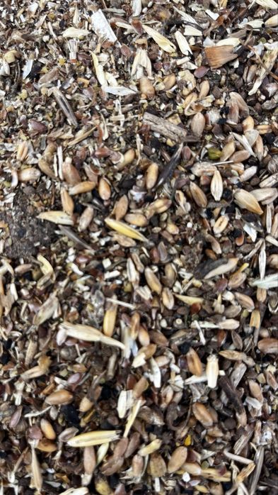 Зерноотходы росыпью