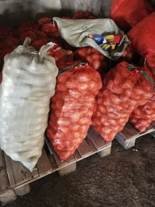 Картофель продается галла семенаа