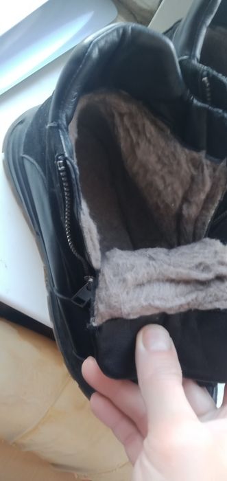 Красовка разные  зима лето