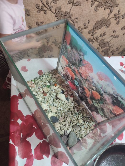 Продам аквариум без крышки