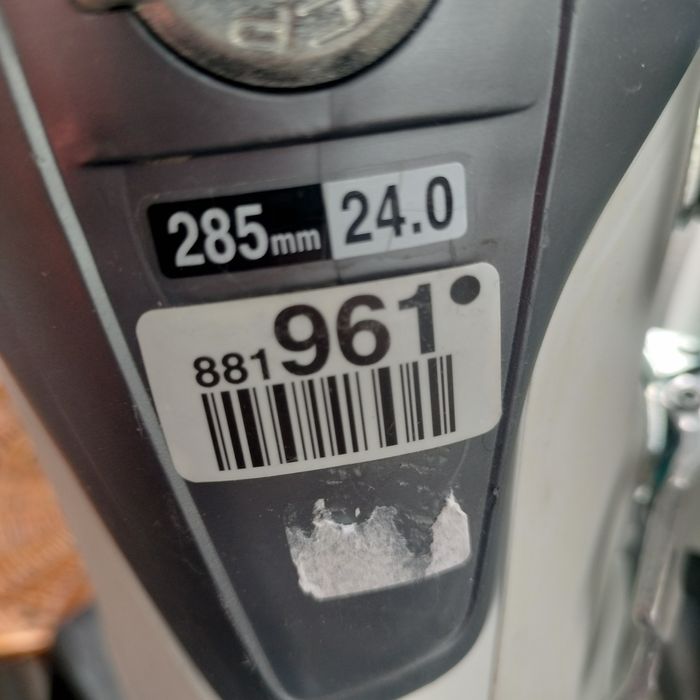 Ски обувки за алпийски ски