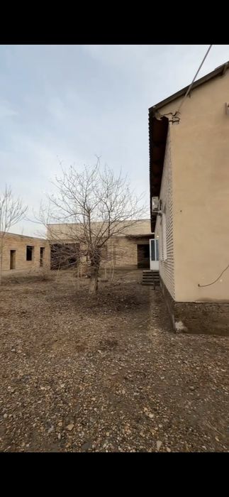 Gulistonobod boyxotin qishlogi