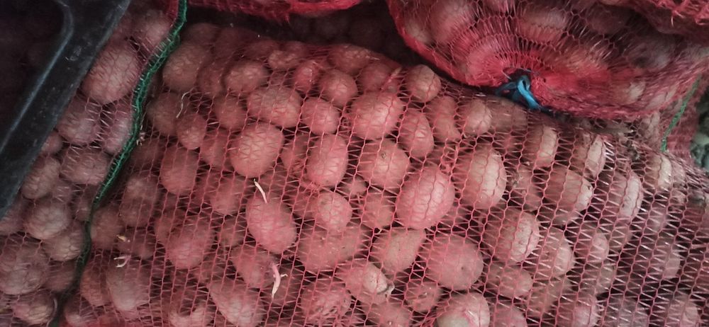 Cartofi pentru animale ,0,60