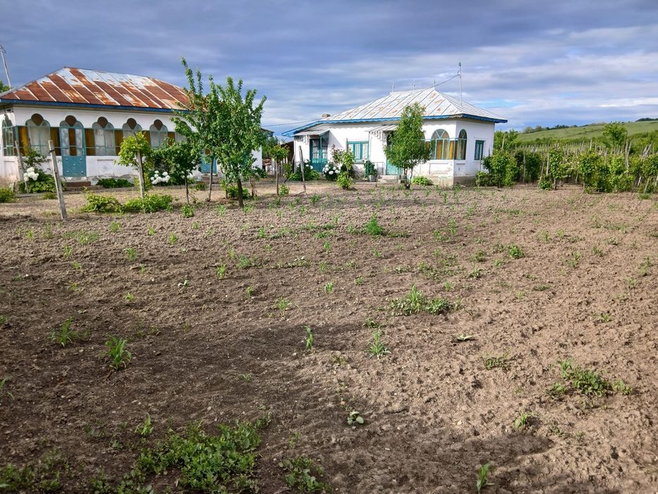Vand Casa cu teren generos la tara