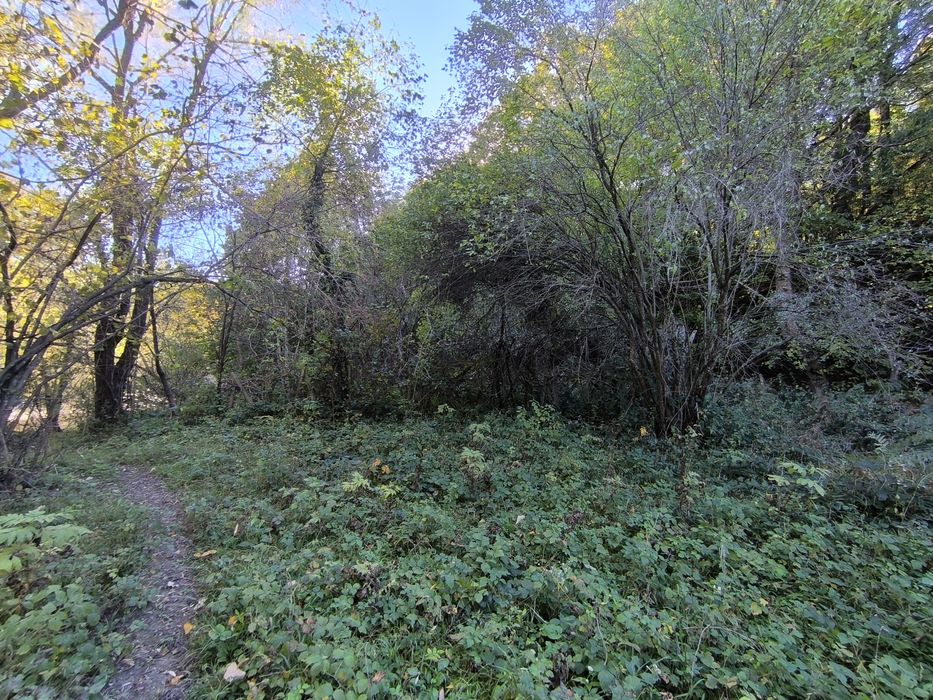 Продава се Парцел в с. Черни Осъм, Област Ловеч - 3150 кв.м за 3 €/кв.м - Снимка #4