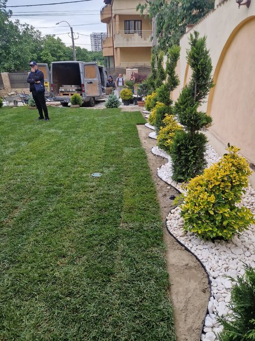 Gazonul Rulou Premium - Alegerea Perfectă pentru Grădina Ta!