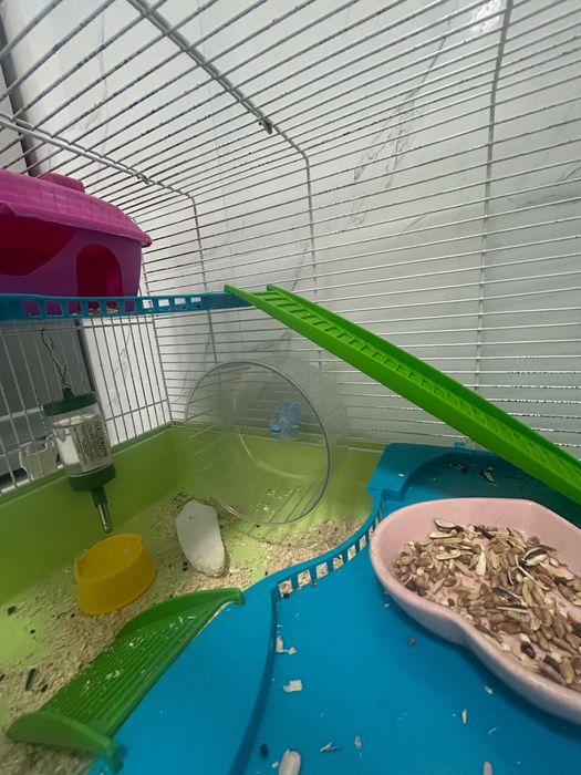 Продаю хомяк вместе с клеткой