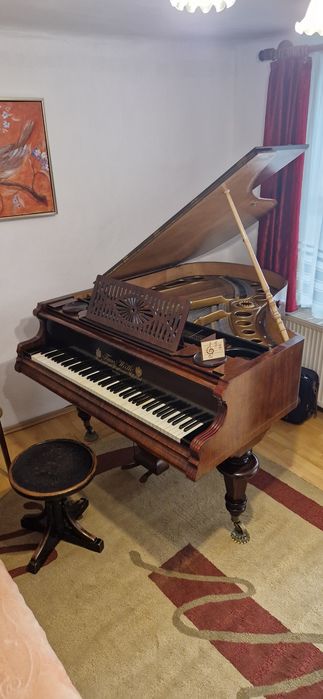 Pian de concert Franz Wirth
