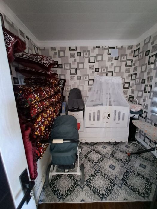 Qozoq kotej sotiladi