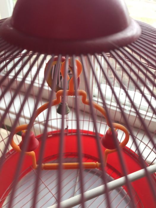 Клетка для птиц и ваших питомцев