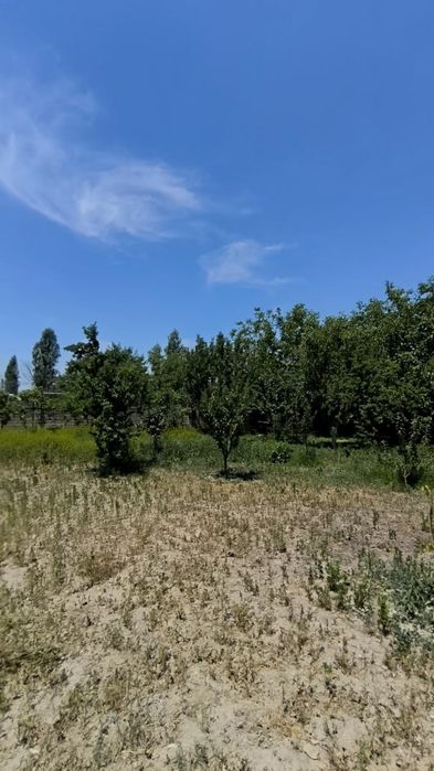 Срочно! Дом с большим участком