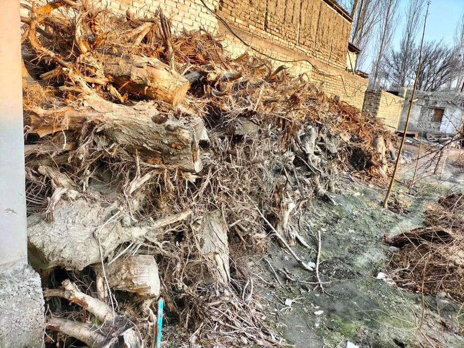 Oʻtin sotiladi quruq otin