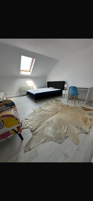 Vand ap 1 camera Frunzisului