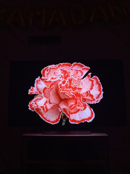 LG OLED evo C2 55