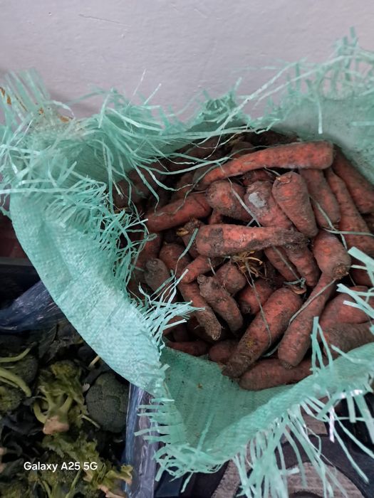 Отход бар малга тауыкка казга коян кг 150