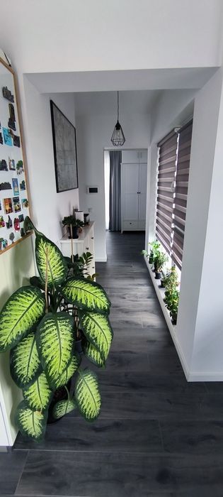 Vând apartament/Penthouse 3 camere , singur pe tot nivelul